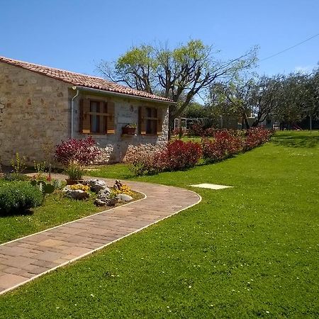 Holiday House Sweet Home أوماغ المظهر الخارجي الصورة